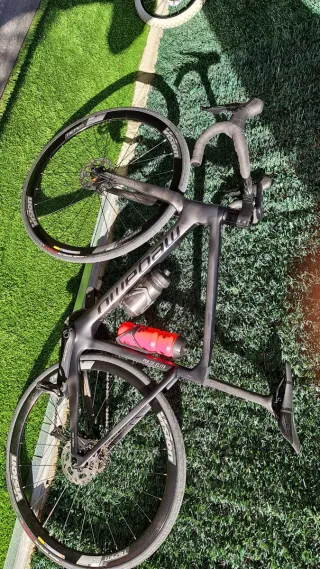 Megamo pulse elite 2022