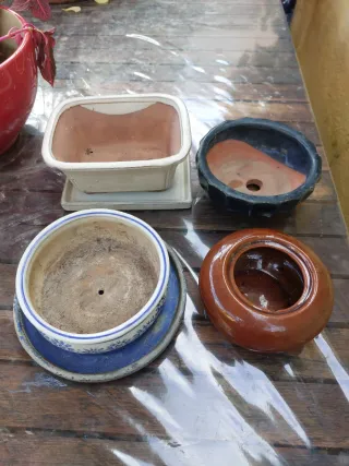 Lote Macetas Bonsái y Platos Cerámica