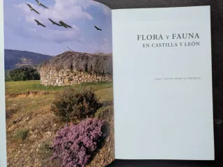 Flora y fauna en Castilla y León