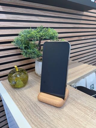 iPhone 13 Pro Max 256GB