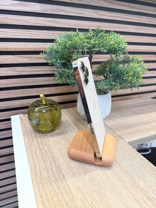 iPhone 13 Pro Max 256GB