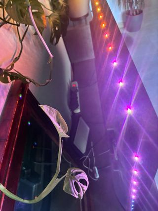 TV QLED 55" - Philips Ambilight 55PUS8510/12, UHD