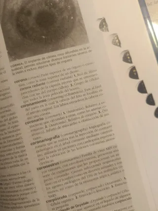 Diccionario de Medicina Oceano Mosby (Spanish E...