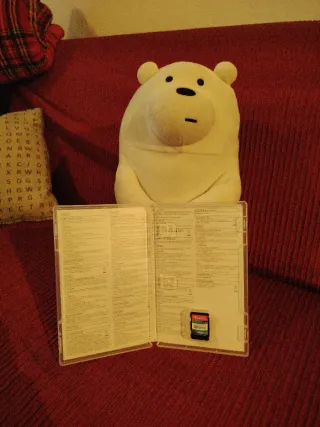 Nintendo Switch Sports