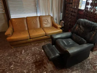 Sofá y sillón de piel