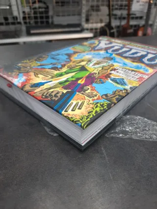 Marvel limited hermano vudó