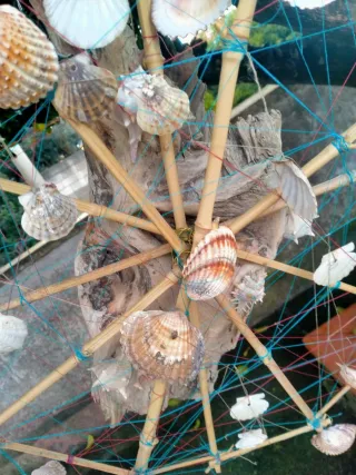 Acchiappasogni con Conchiglie e Legno