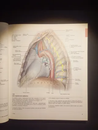 GRANT. ATLAS DE ANATOMÍA