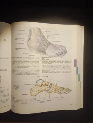 GRANT. ATLAS DE ANATOMÍA
