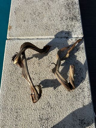 Madera Tanuki Decorativa