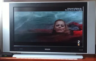 Televisor Philips Flat TV Negro/Plateado