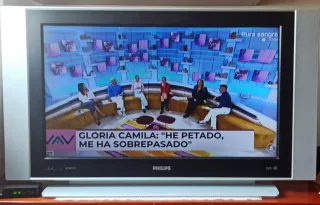 Televisor Philips Flat TV Negro/Plateado