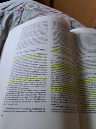 Hágase la luz. (Manos que curan, 2) (Spanish Ed...