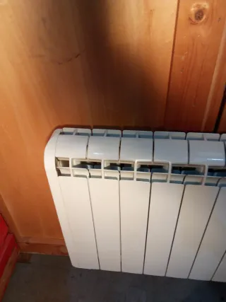 Emisor Térmico Radiador Eléctrico