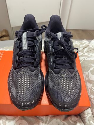 Nike Pegasus Premium Negro/Gris