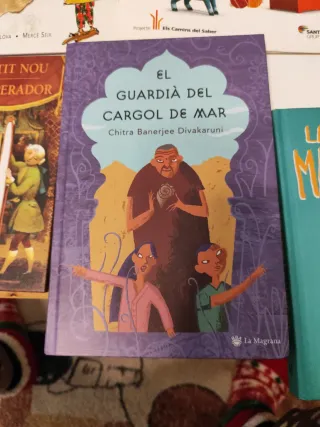 Lot 9 llibres en català