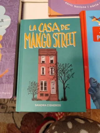Lot 9 llibres en català