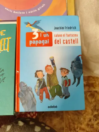 Lot 9 llibres en català