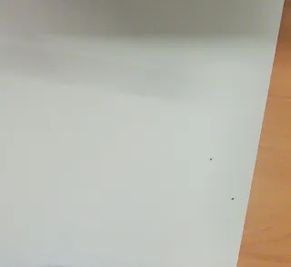 2 Pósters Gira Miguel Ríos Bilbao 2026