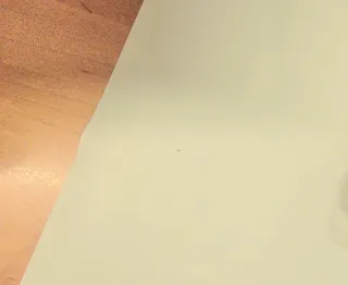 2 Pósters Gira Miguel Ríos Bilbao 2026