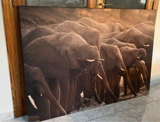 Cuadro con marco elefantes 100x140cm Ikea