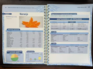 Menús saludables para los escolares de Castilla...