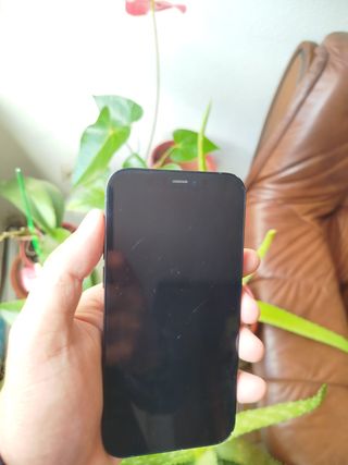 iPhone 12 64 GB Negro