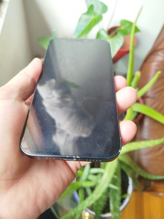 iPhone 12 64 GB Negro