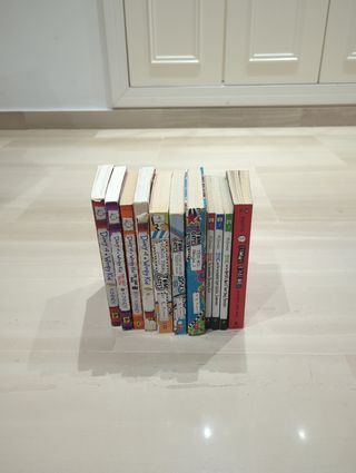 Lote de English Books: Wimpy Kid, Tom Gates, Stin