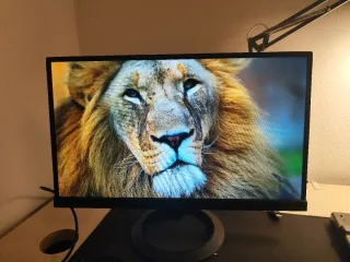 Pantalla ASUS VX239H Negra