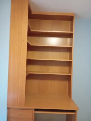 Escritorio y Estantería Roble