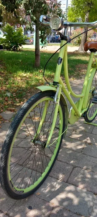 Bici holandesa de paseo color verde