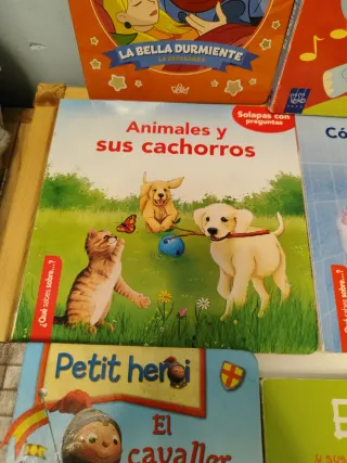 Lote libros infantiles castellano y catalán