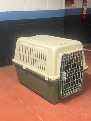 Transportín Perro Grande Beige y Verde