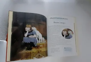 Mira, el lenguaje corporal en la pintura (Spani...