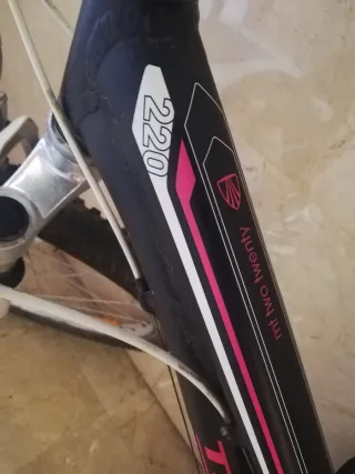 Bici MTB TREK,Modelo:mt two twenty 220,24 Pulgadas