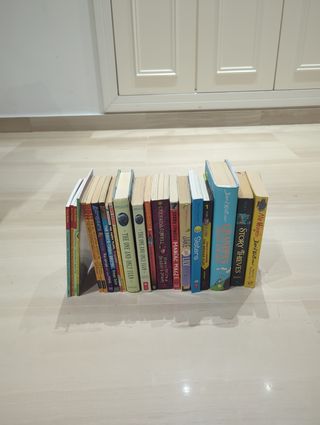 Lote 15 Libros Lectura Inglés (David Walliams...)