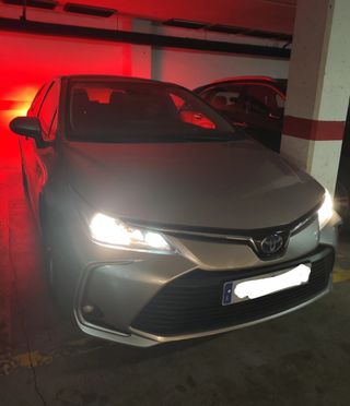 Toyota Corolla 2019
