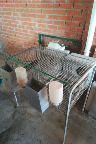 Jaulas para conejos