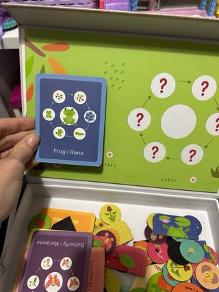 Juego Magnético Ciclo de Vida Rana