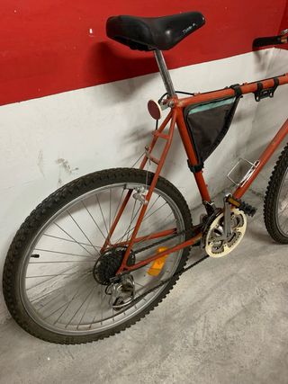 Bicicleta de Montaña