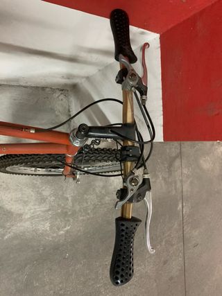 Bicicleta de Montaña