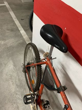 Bicicleta de Montaña