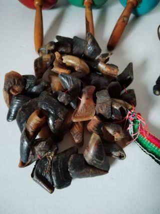 Conjunto instrumentos musicales