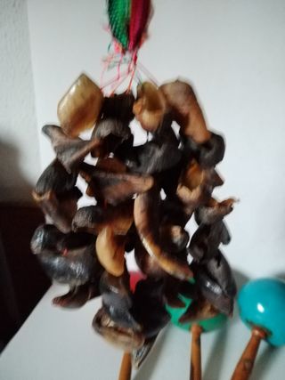 Conjunto instrumentos musicales