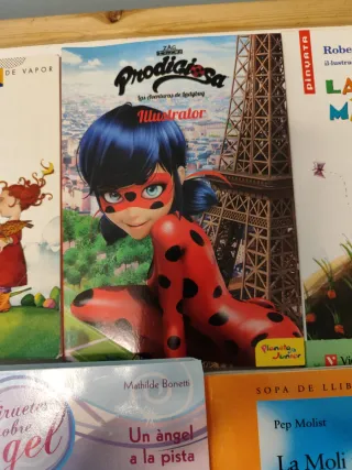 Lote 8 libros juveniles en castellano y catalán