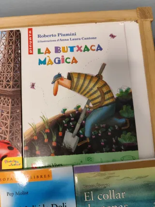 Lote 8 libros juveniles en castellano y catalán