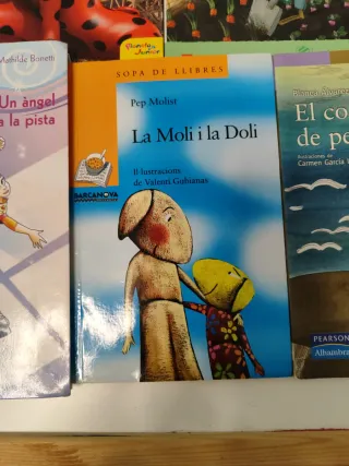 Lote 8 libros juveniles en castellano y catalán
