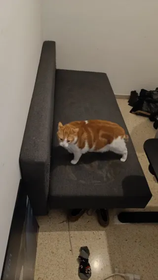 Sofá Cama Gris Doble