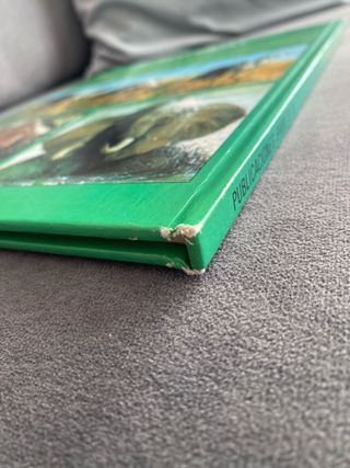 La vida secreta de los animales - En la sabana